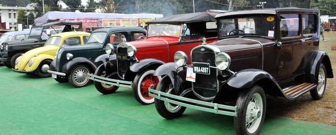 Annual Show
